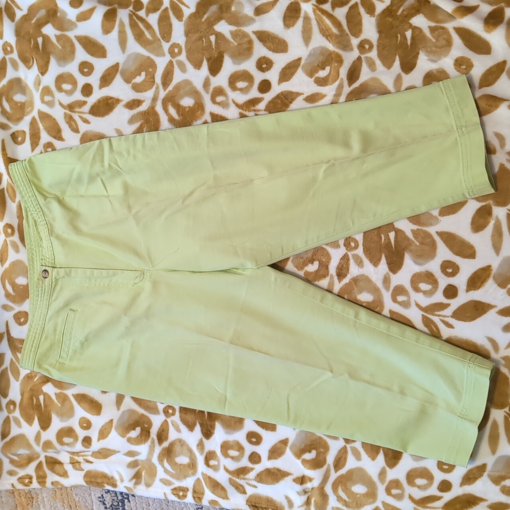 Talbots Petites Light Green  Capri Pants